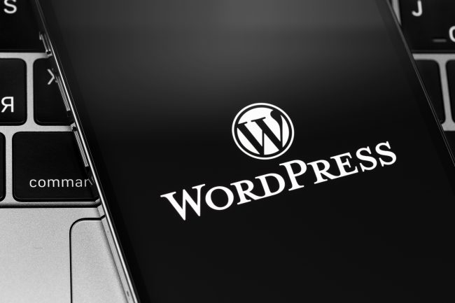 WordPress updates and why they're important